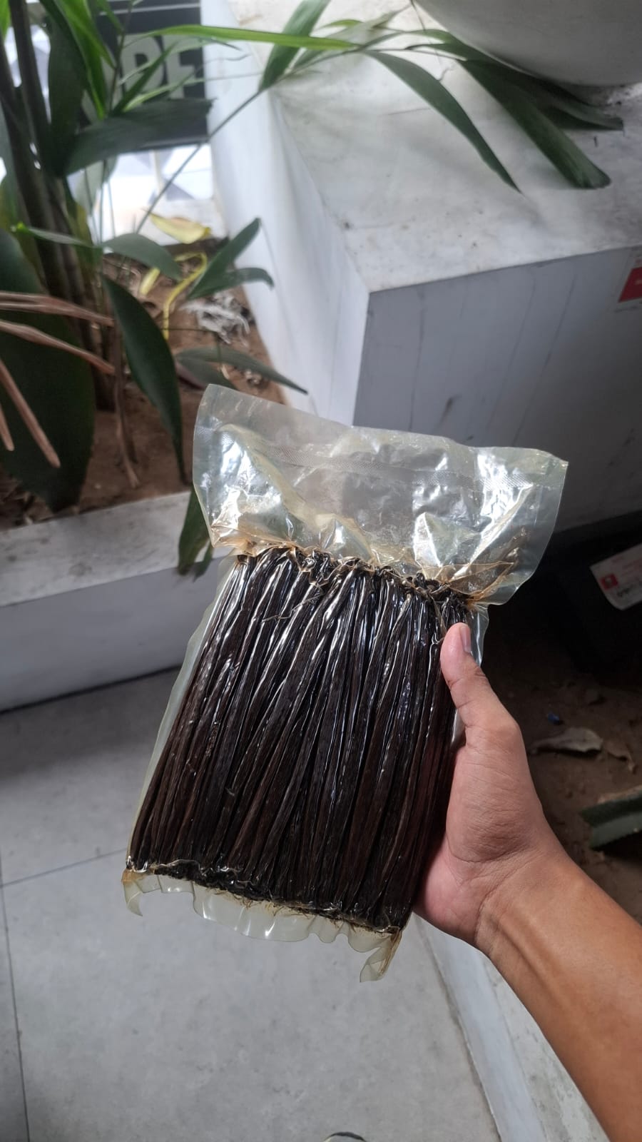 Vanilla beans quality inspection